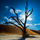 Di Fruscia Photography - Fine Art Nature and Landscape Photography