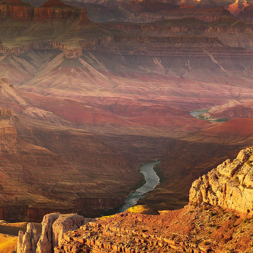 The Grand Canyon Study Guide