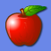 Icon Diet & Exercise Assistant