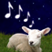 Streaming Music Timer