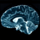 Brain Wave - 20 Binaural Programs by Banzai Labs