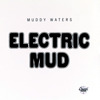 Electric Mud, Muddy Waters