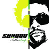 Clothes Drop, Shaggy