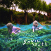 Murray Street, Sonic Youth