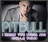 I Know You Want Me (Calle Ocho) - EP, Pitbull