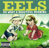 Oh What a Beautiful Morning (Live), Eels