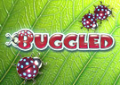 Buggled