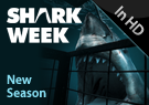 Shark Week, 2011 - Shark Week