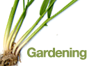 Gardening