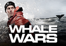 TV: Whale Wars (CA)