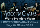 Layout Root pageAliceInChains