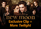Layout Root pageTwilight