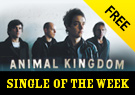 Tin Man - Single of the Week - Animal Kingdom