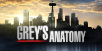 showcase PL Grey's Anatomy Grey's Anatomy, Season 6