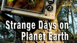Strange Days on Planet Earth