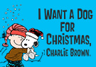 Peanuts' Charlie Brown I Want a Dog for Christmas, Charlie Brown