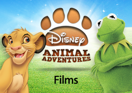 Disney Animal Adventures - Movies