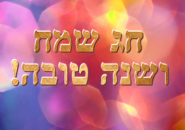 Happy Holiday and New Year!