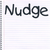 Nudge, Nudge