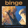 Ghost of Girlfriends Past, Binge