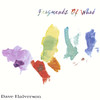 Fragments of What, Dave Halverson