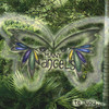 to you..., Many Angels