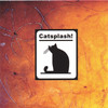 Catsplash, Catsplash