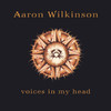 Voices In My Head, Aaron Wilkinson