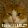 LOLcatMaker