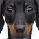 Icon FunCard Lite