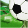 SoccerInfo SoccerInfo