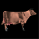goCow