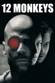 play video on iTunes