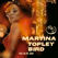 The Blue God by Martina Topley Bird
