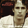 Hallelujah (Radio Edit) - Single